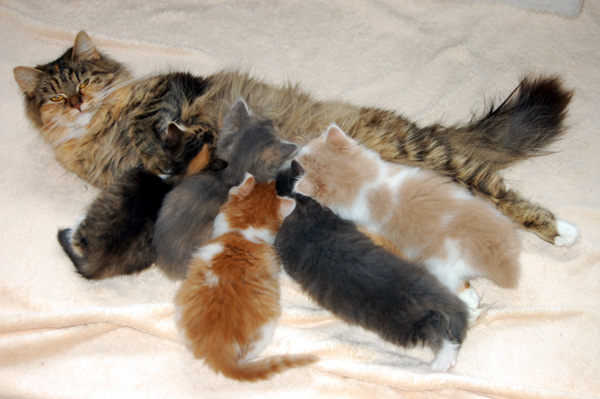 Evita ind ihre Süßen.jpg